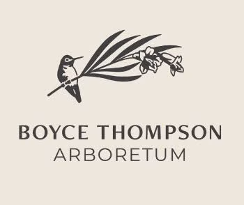 boyce abberetum
